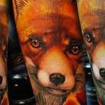 Tattoos - Fox and Poppies - 116496